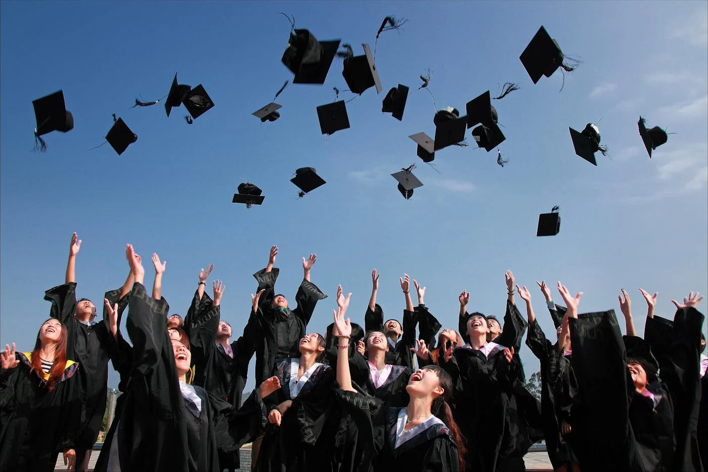 Admission Guidance & Career Support